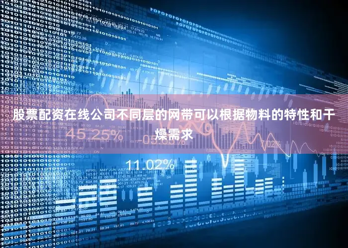 股票配资在线公司不同层的网带可以根据物料的特性和干燥需求