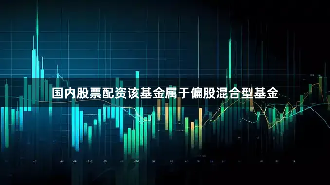 国内股票配资　　该基金属于偏股混合型基金