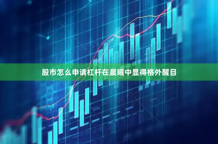 股市怎么申请杠杆在晨曦中显得格外醒目