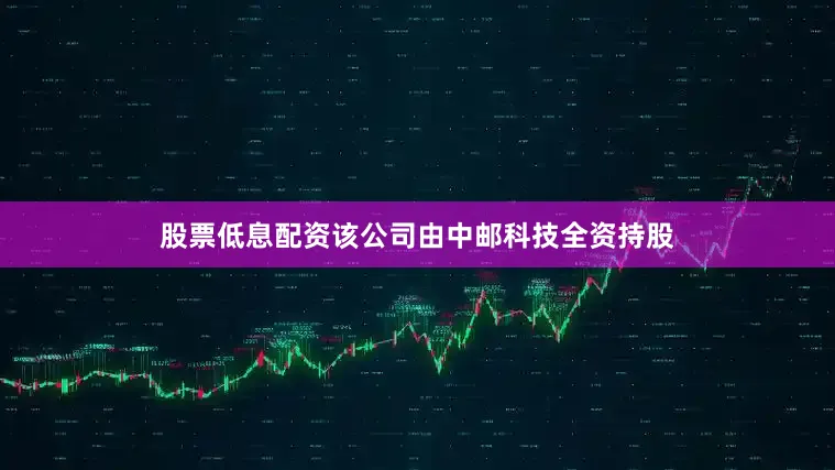 股票低息配资该公司由中邮科技全资持股