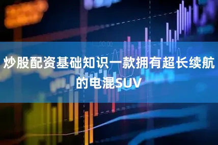 炒股配资基础知识一款拥有超长续航的电混SUV